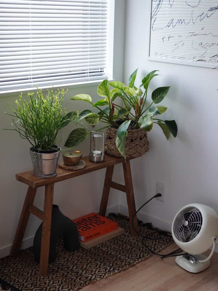 白とナチュラルカラーの小さな空間に、木製ベンチの上に2つの植物と装飾が配置されたミニマルで雰囲気のあるインテリア