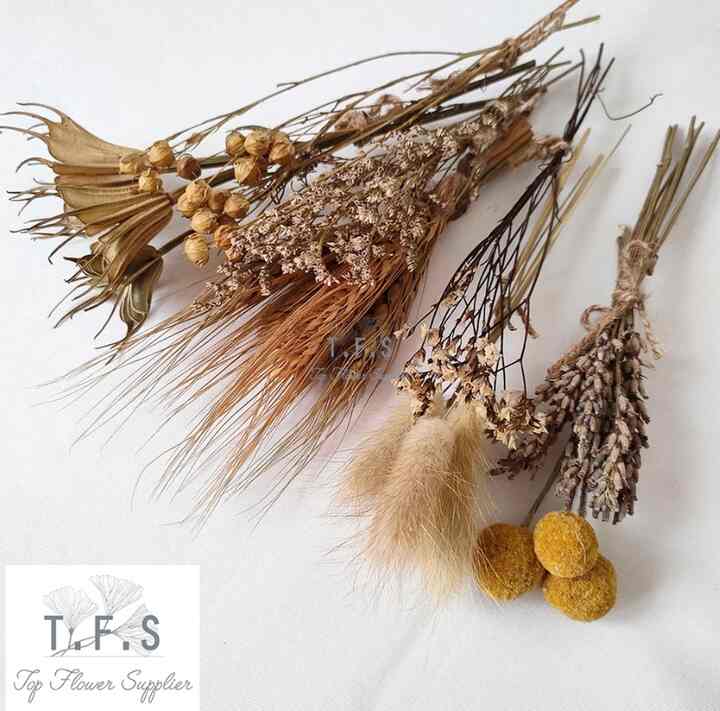 Dried Flower Wheat Lagurus Billy Button Caspea Lavender
