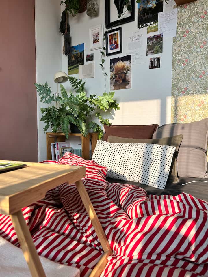 大幅に模様替え。
テレビとベッドを手放しました👋

#ikea #インテリア植物  #インテリア #ファブリックインテリア 