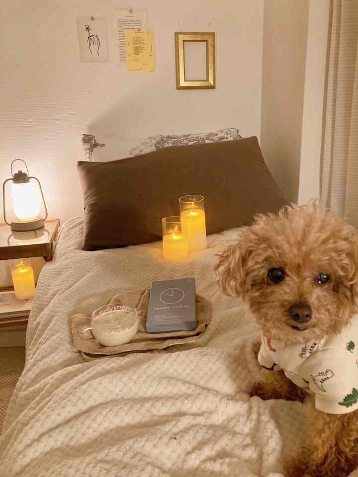 Cozy beige-toned bedroom featuring a comfortable bed with glowing candles and a small brown dog on the bed