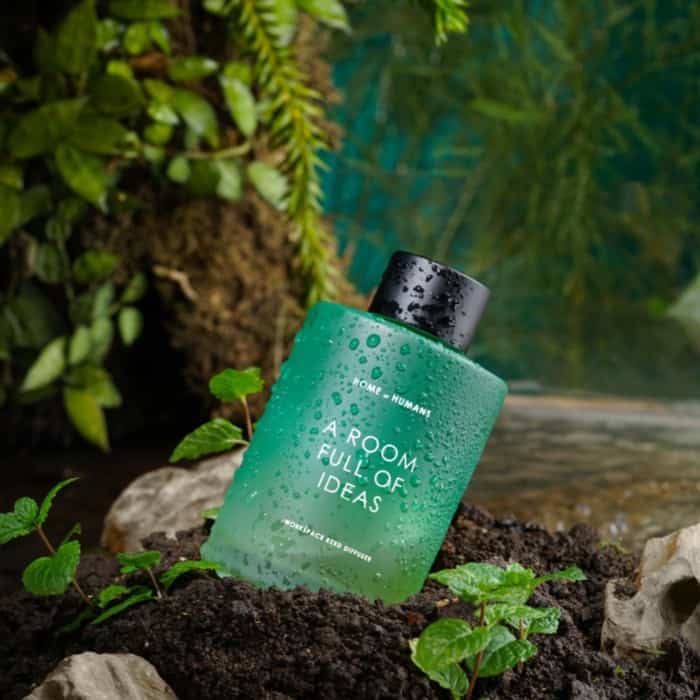 A Room Full of Ideas Reed Diffuser