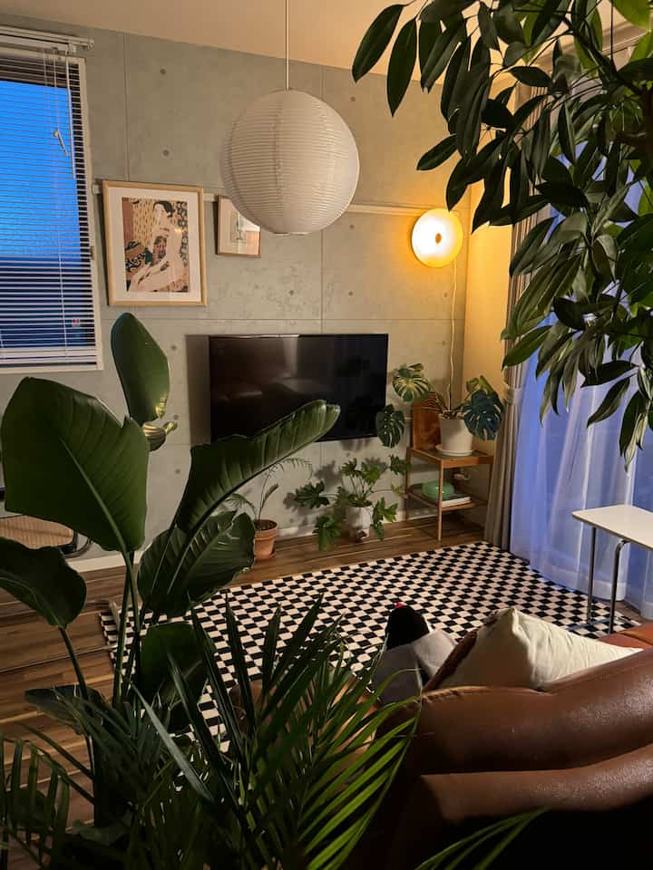 グレーのコンクリート壁とチェック柄ラグのあるミッドセンチュリーモダンのリビング、豊富な緑の植物が配置された温かみのある空間