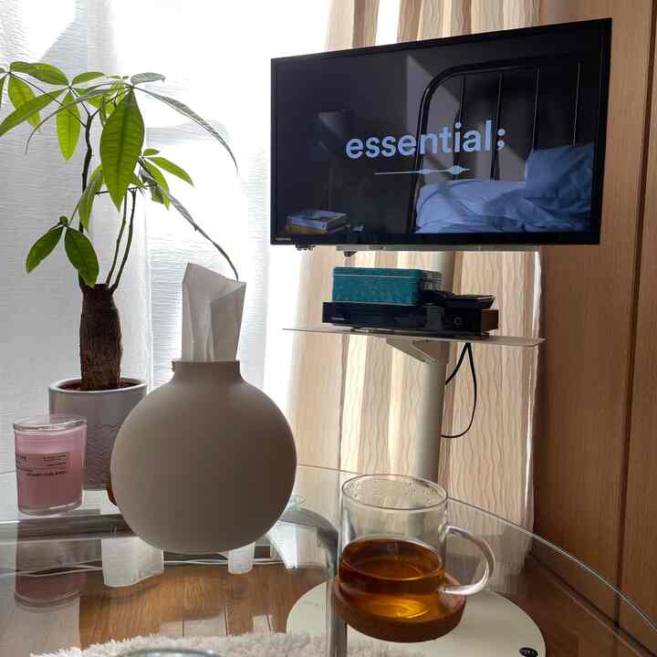 白と木目調が調和するリビング、テレビ台と大きな植物が配置された雰囲気のある空間