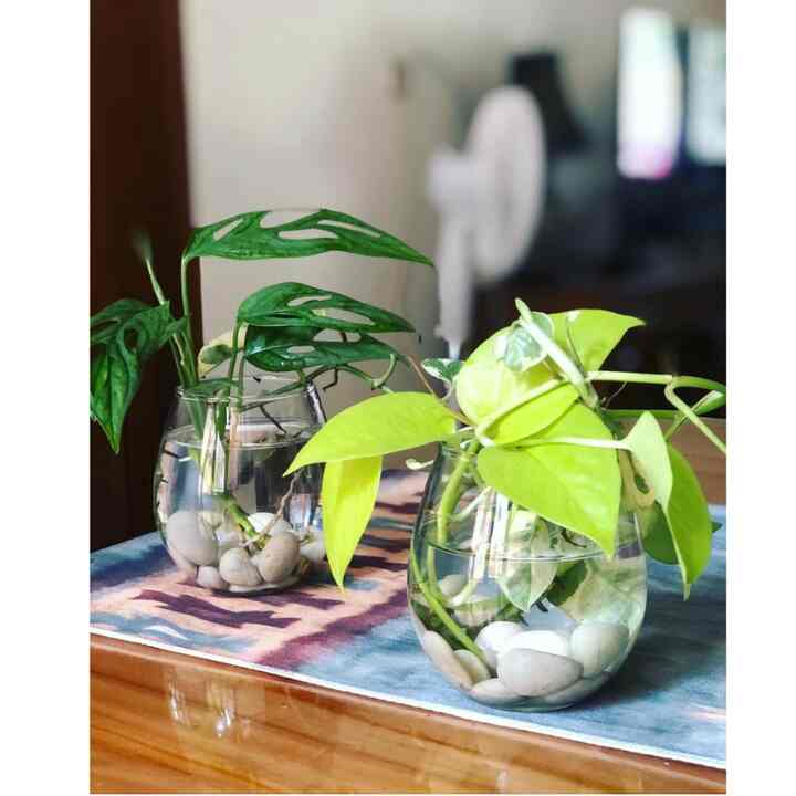 Vas Bunga Kaca Minimalis