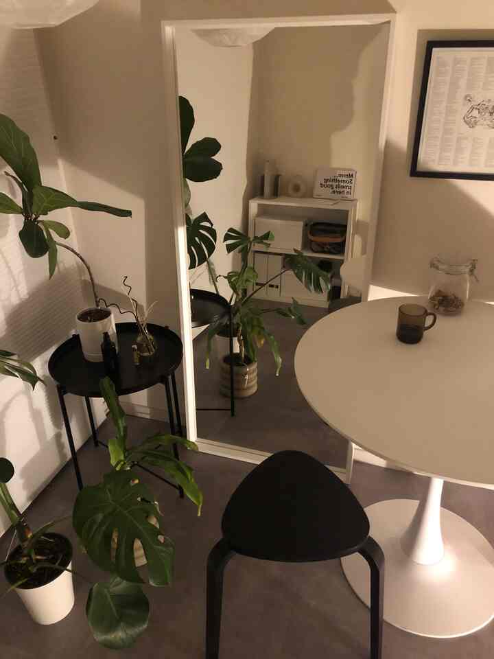 Soft white-toned small room cafe style space featuring black furniture and various plants arranged to create a cozy atmosphere