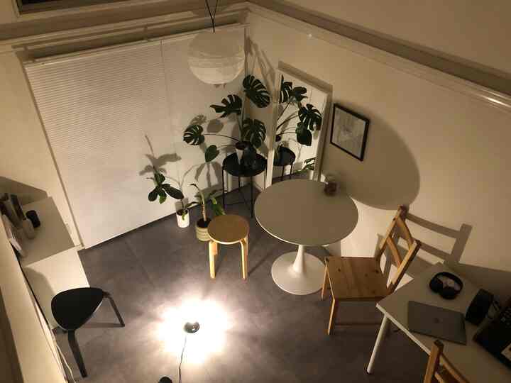 A compact room with white and wood tones featuring a round dining table, chairs, mirror, and plants creating a natural atmosphere