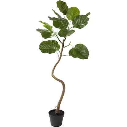 フェイクグリーン(ウンベラータ 120cm)