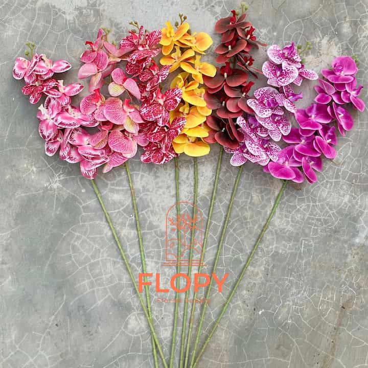 Anggrek Latex X9 Artificial