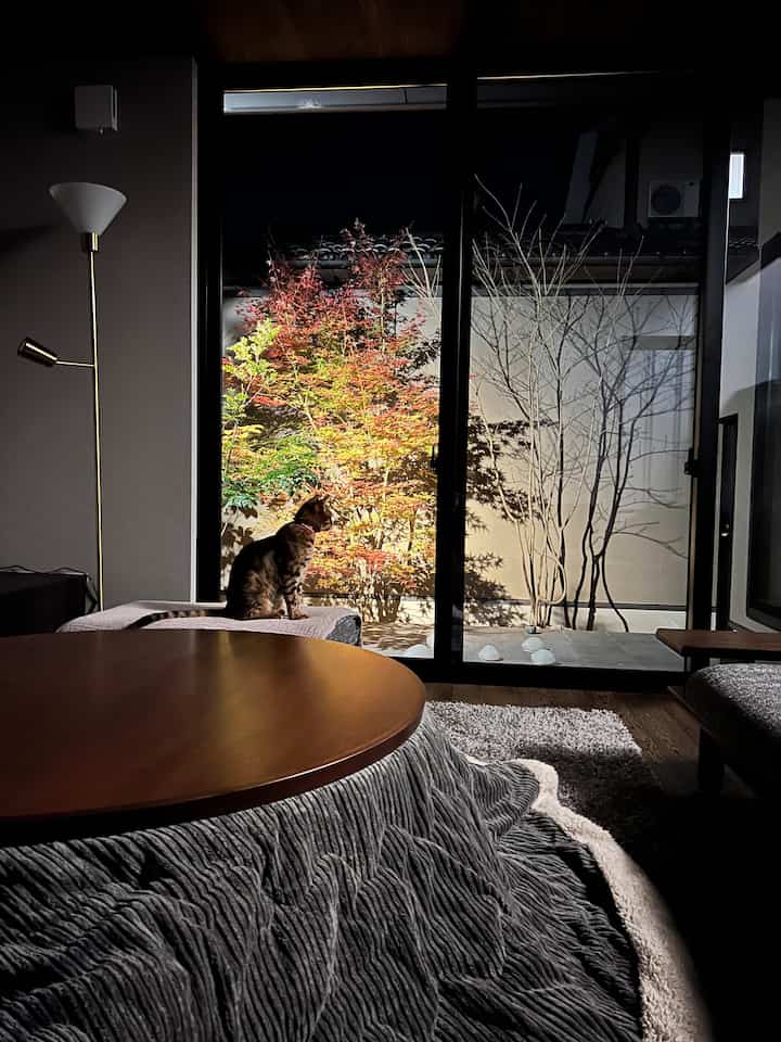 温かみのある木目とグレーのトーンのリビング、こたつの上に座る猫が秋の紅葉を眺める雰囲気のある空間