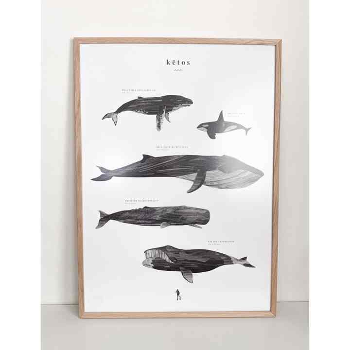 ポスターフレーム