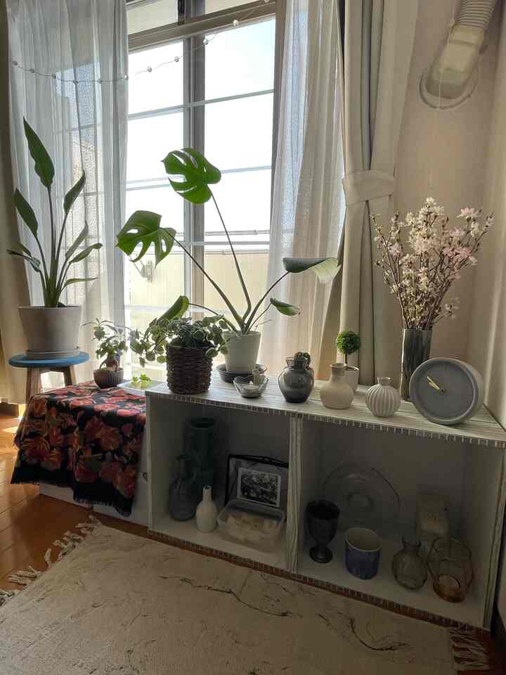 A natural space near a veranda corner with white and wood tones featuring plants, a clock, and various pots