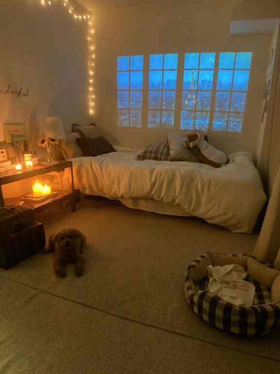 Cozy bedroom in warm brown and white tones featuring cushions on bed, pet bed, and a faux window projection on wall