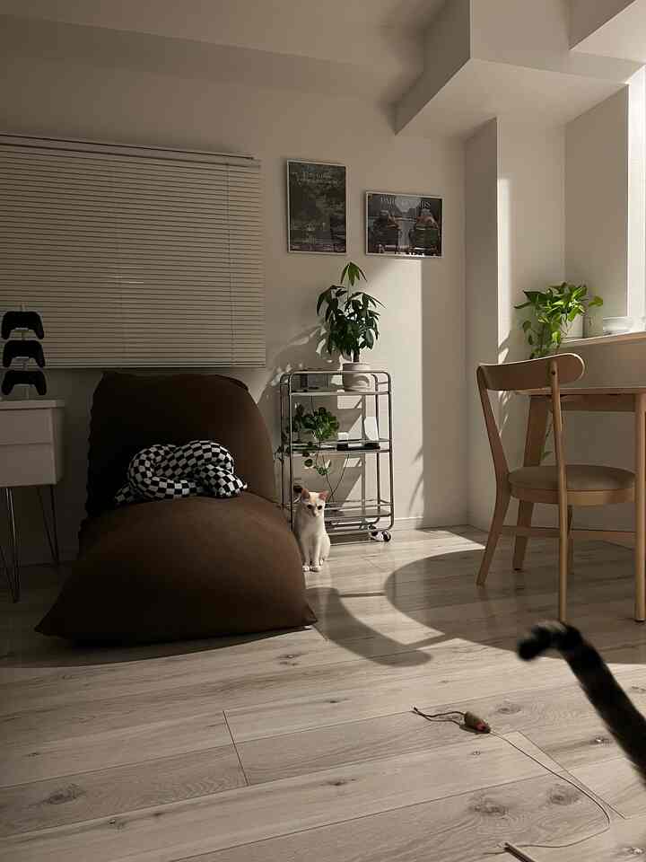 Beige and white toned dining room featuring a bean bag sofa, plants, and posters, creating a simple natural atmosphere