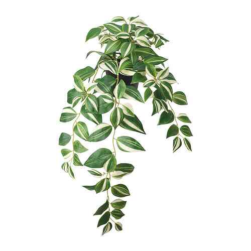 FEJKA Tanaman tiruan dalam pot, dalam/luar ruang/tradescantia zebrina, 12 cm