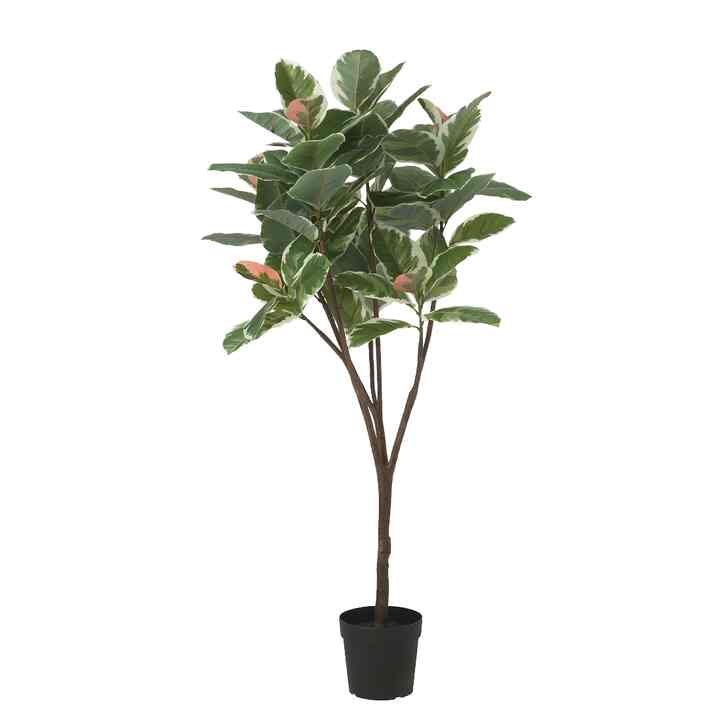 FEJKA, Tanaman tiruan dalam pot, dalam/luar ruang pohon karet, 23 cm