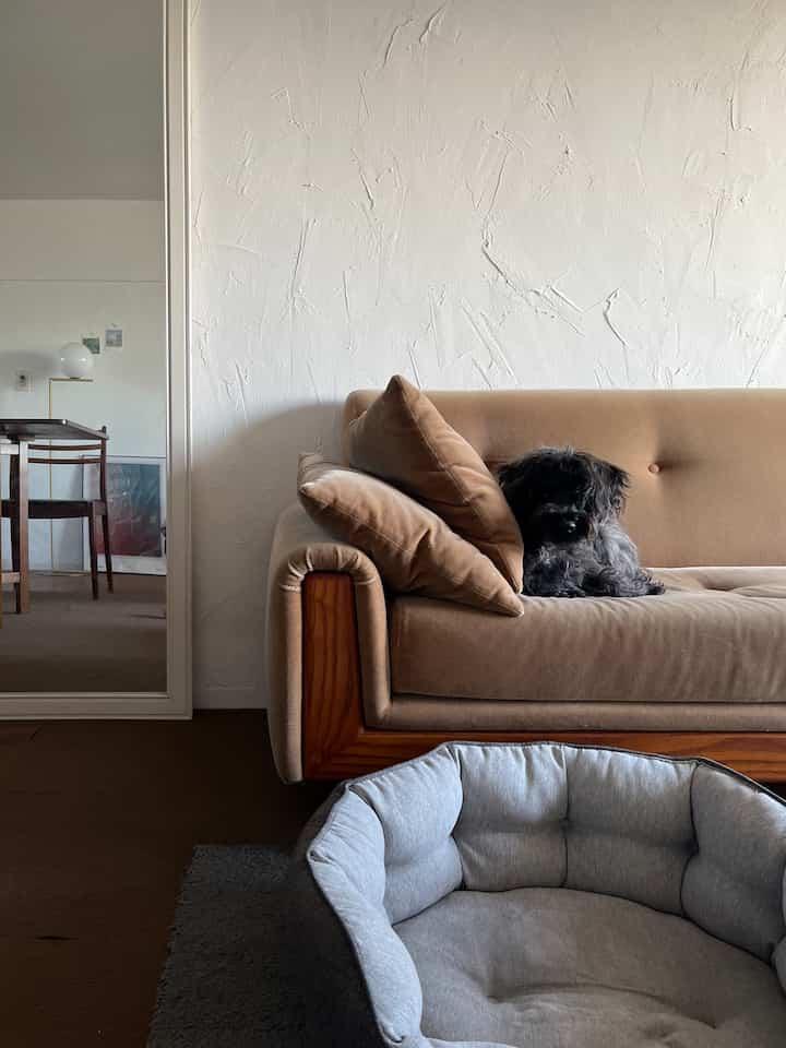Natural toned living room featuring a brown sofa and gray pet bed creating a cozy atmosphere