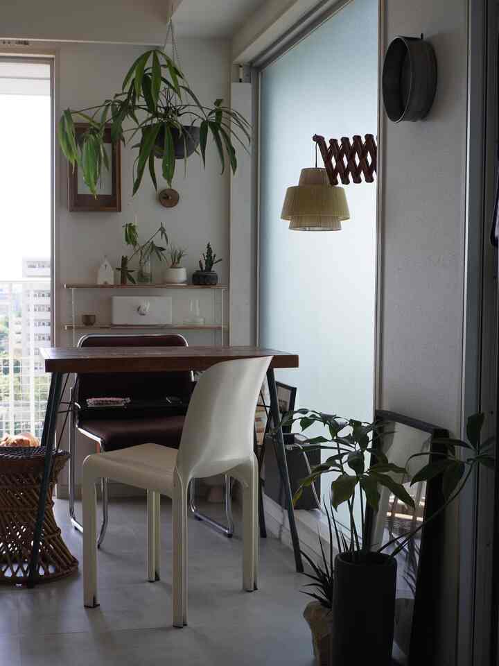 A white and brown toned dining room featuring a wooden dining table and chairs by the window with natural plants and warm lighting accents
