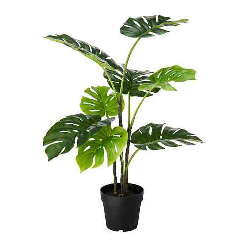 FEJKA Tanaman tiruan dalam pot, dalam/luar ruang monstera, 19 cm