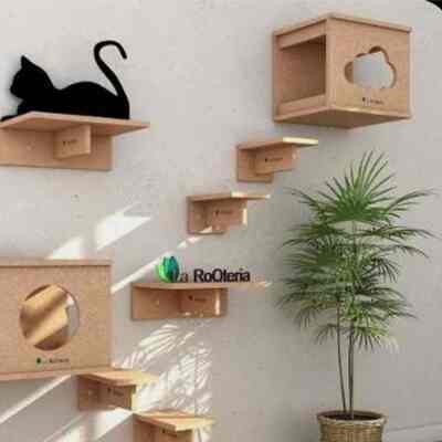 Cat playground