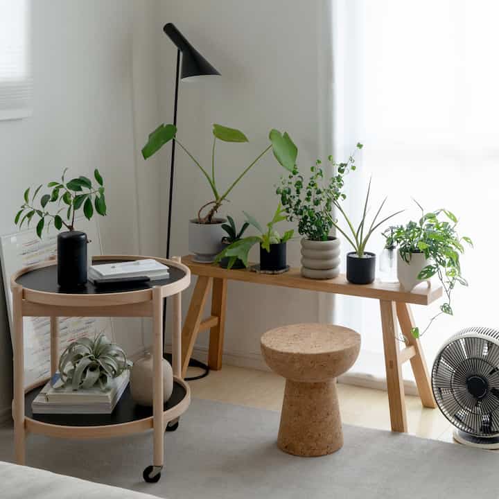 A natural and simple living room with white walls, light brown wooden furniture, and various green plants arranged decoratively