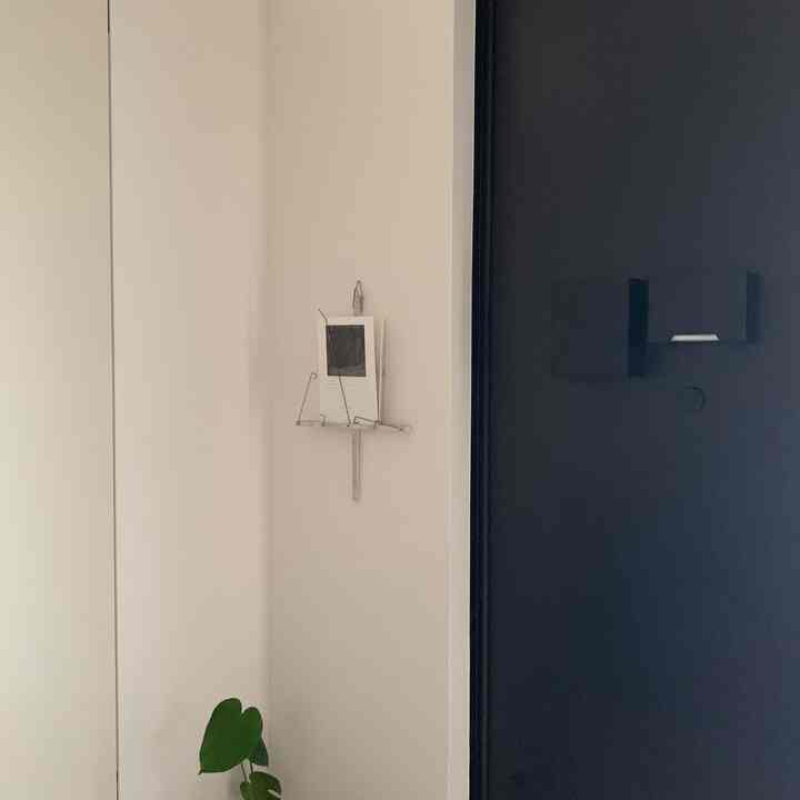 White and black toned entrance featuring minimal setup with a small plant, creating a clean and open atmosphere