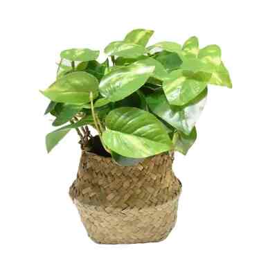 Tanaman Artifisial Dengan Pot Sk4a 20 x 20 x 25 cm