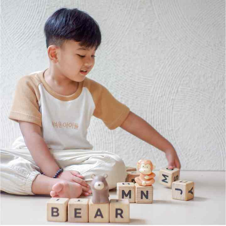 Wooden Toy Alphabet & Number