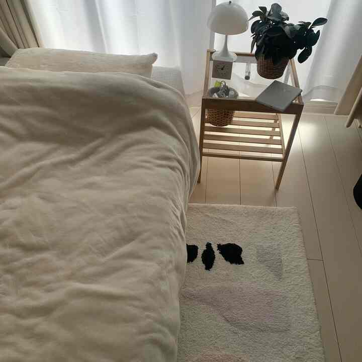 明るいベージュ色調の1K寝室、クッションと植物が配置された落ち着いた空間