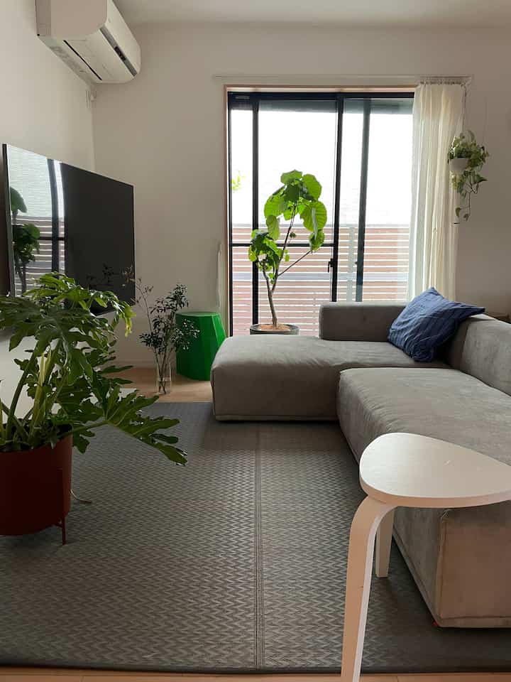 Natural-toned living room featuring large gray sofa and green plants, creating a modern and cozy atmosphere