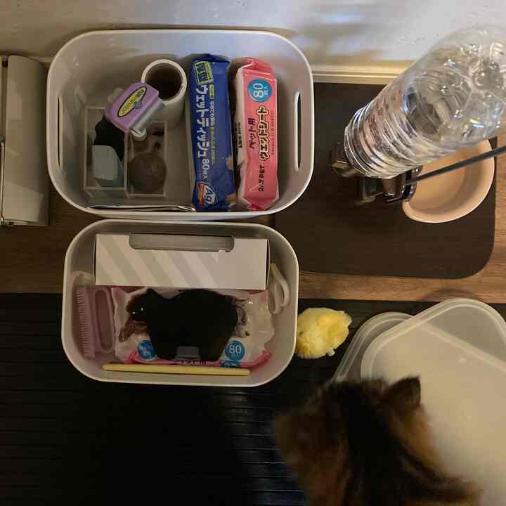 白と茶色のトーンの猫部屋の収納スペース、無印良品の収納ケースに整理されたペット用品が配置された雰囲気のあるインテリア