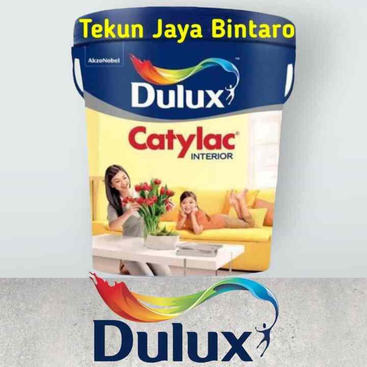 Catylac Interior Tinting 5 kg (request warna)