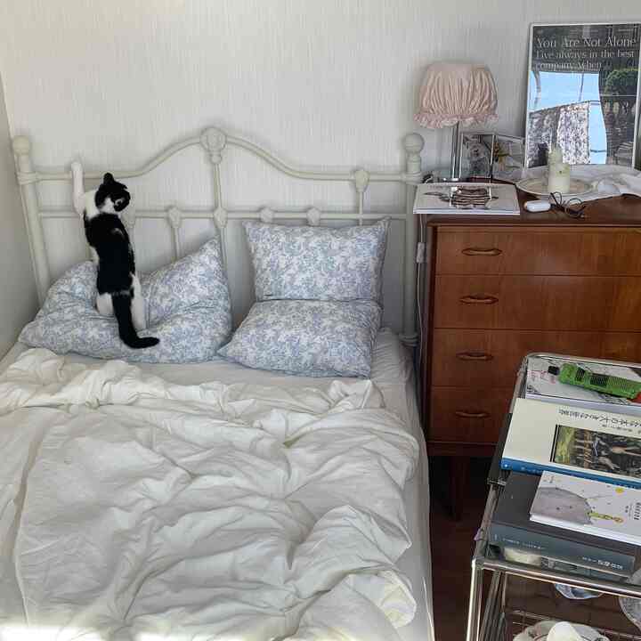 柔らかなベージュ色の壁と木目調家具のある寝室、白いベッドカバーと猫がいる落ち着いた雰囲気のインテリア