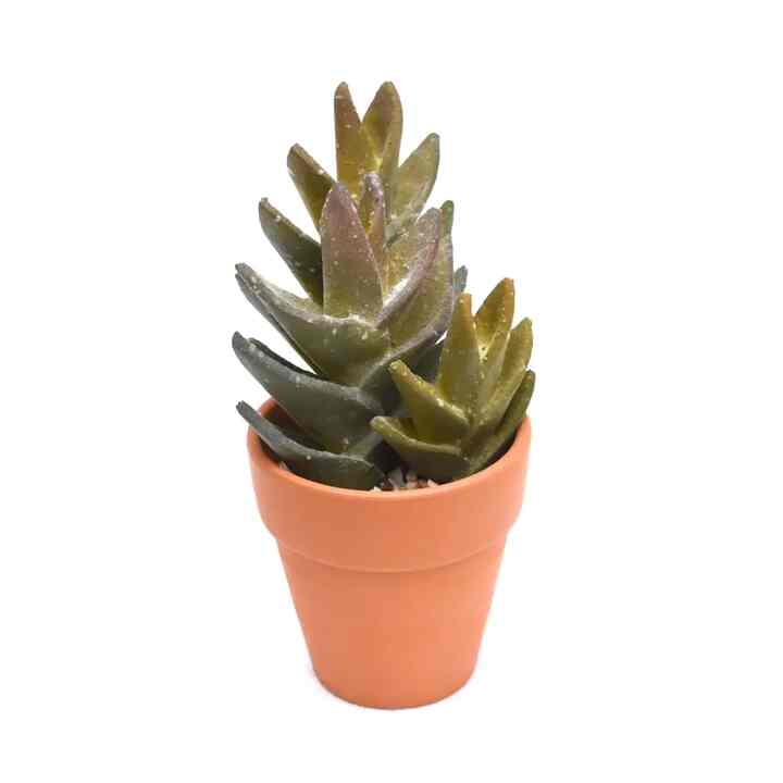 Tanaman Artifisial Kaktus 1F 8x8x18cm