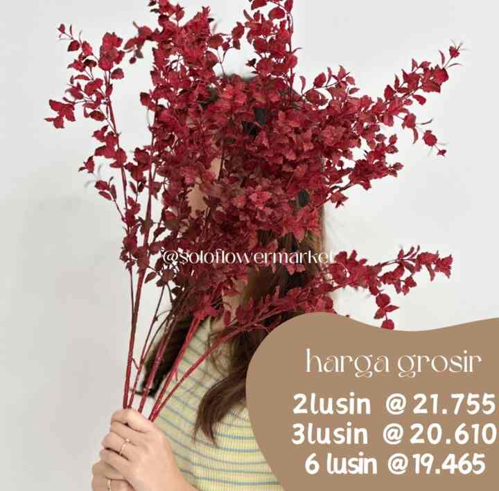 MINT LEAVES HANGING GRASS DAUN