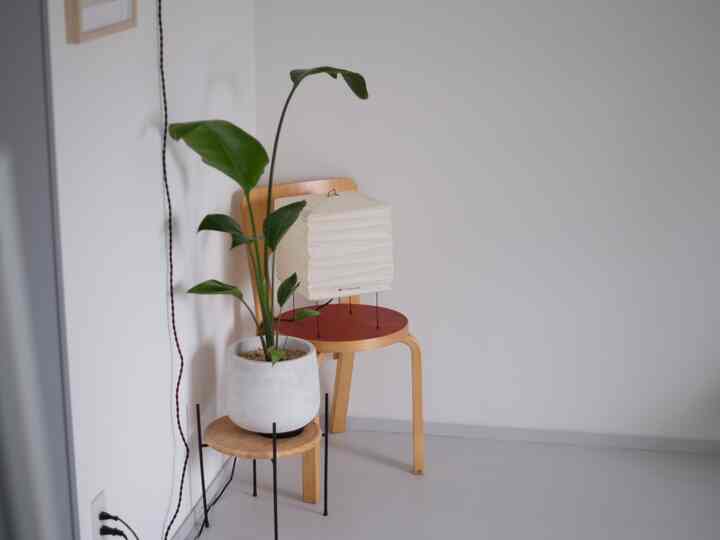 白とナチュラルカラーの小さくシンプルなコーナースペース、木製の椅子と和紙のスタンドランプ、植物が配置された落ち着いた雰囲気のインテリア