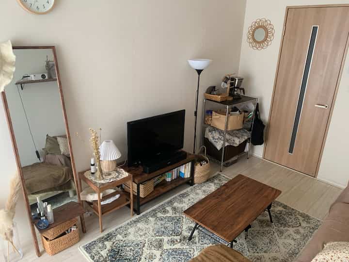 Natural wood tones and simple furniture in a compact living room designed for a single household