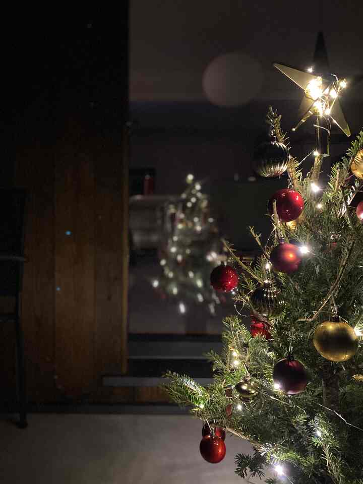 Warm white-lit Christmas fir tree decorated with red and gold ornaments placed in a cozy corner of the living room