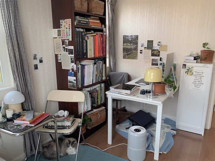 Cozy home office space in white and brown tones featuring a desk, bookshelf, and a cat resting on a blue rug