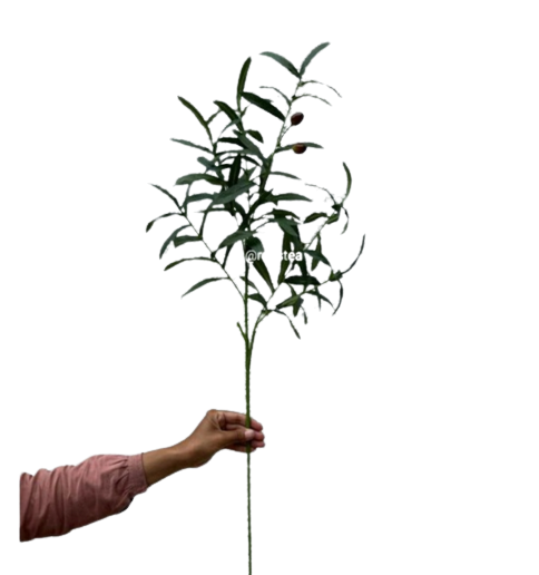 Artificial Plant - Olive