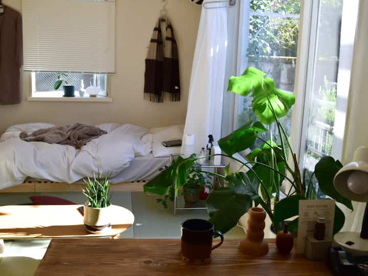 Natural color and white toned single household living room featuring a bed frame and several plants in a cozy space