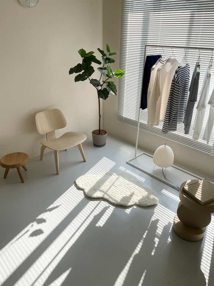 明るい白色のリビング、雲型のラグ、木製チェア、観葉植物が配置された自然な雰囲気のインテリア