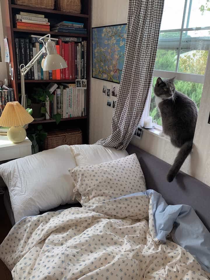 明るいホワイトとネイビートーンの寝室、花柄の掛け布団カバーと本棚が配置された雰囲気のある空間、窓辺に猫が座っている