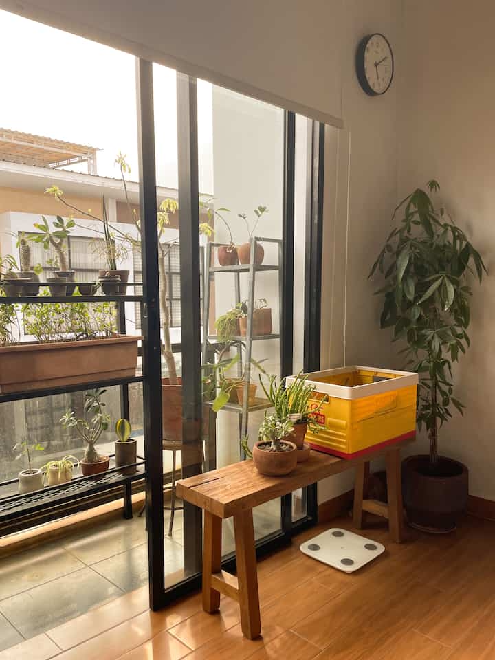 In the afternoon at home while taking care of the green children 🌱🌿🍃🪴 #kelasmennengah #bedroom #smallhouse #tropical #houseplant