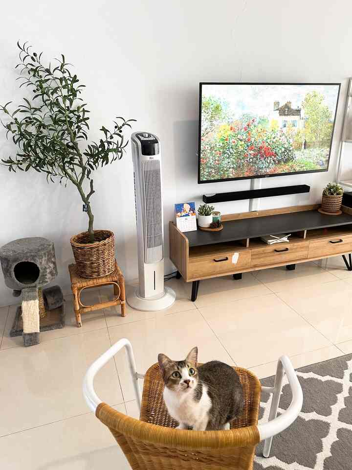 Alkisah seekor anabul sedang duduk termenung setelah mengamati seni lukisan yang terpampang pada TV. Terbingung-bingung kenapa owner ku ga nyetel N*tflix aja ya??😅 Lalu anabul itu kembali bertanya, kenapa namanya meja TV sedangkan meja nya bukan buat naro TV, tuh TV nya melayang di dinding? 😆 Hoo iya juga sih meng.. itu namanya estetika keindahan 🤩✨ #ruangtv #ruangkeluarga #mejatv #dekoruma #acehardware #cattree #catlovers