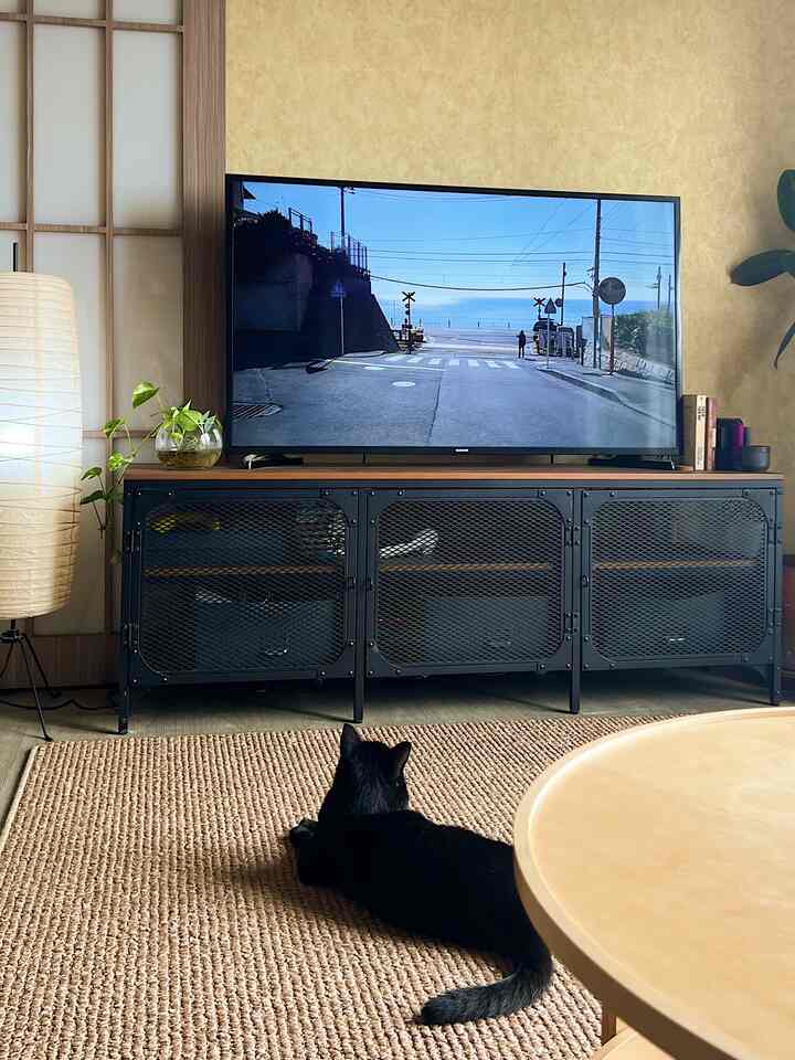 Natural-tone living room with black accents, featuring a TV stand and a black cat lounging comfortably on the rug