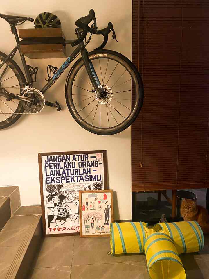Wood tone small living space featuring a wall-mounted bike, posters, cat tunnel, and a cat creating cozy interior