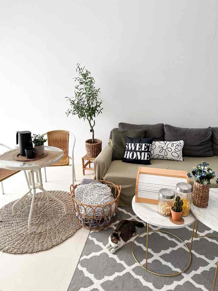 Inspirasi Ruang Keluarga Ruang Terbuka
🩵 Ruang TV dengan Sofabed & karpet besar
🩵 Meja Kopi Ganda untuk stok snack
🩵 Set Meja Teras untuk kursi tambahan
🩵 Karpet Lamun Bulat untuk garukan kucing (karena kucing juga bagian dari keluarga kita)

#nyamandiomah #familyroom #openspace #RuangTamuAesthetic
#RuangTamuCantik
#MakeOverRuangTamu