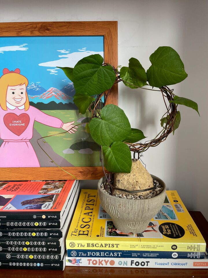 short form carousel card thumbnail