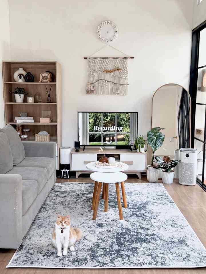 Bright white and wood tone living room with gray sofa, nested round coffee tables, and an orange and white cat near the window for a natural modern feel