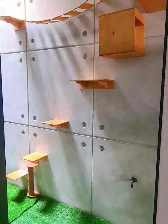 Cat’s playground
Memanfaatkan lahan void 1x5 m2 untuk tempat mainan anabul dgn menambahkan cat’s playround dan rumput sintetis

#catplayground #cat #anabul #void #rumputsintetis #roster #industrial #semenexpose